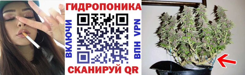 Канабис OG Kush  купить наркоту  гидра tor  Яхрома 